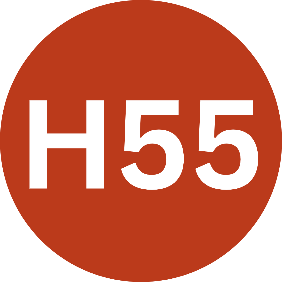 h55