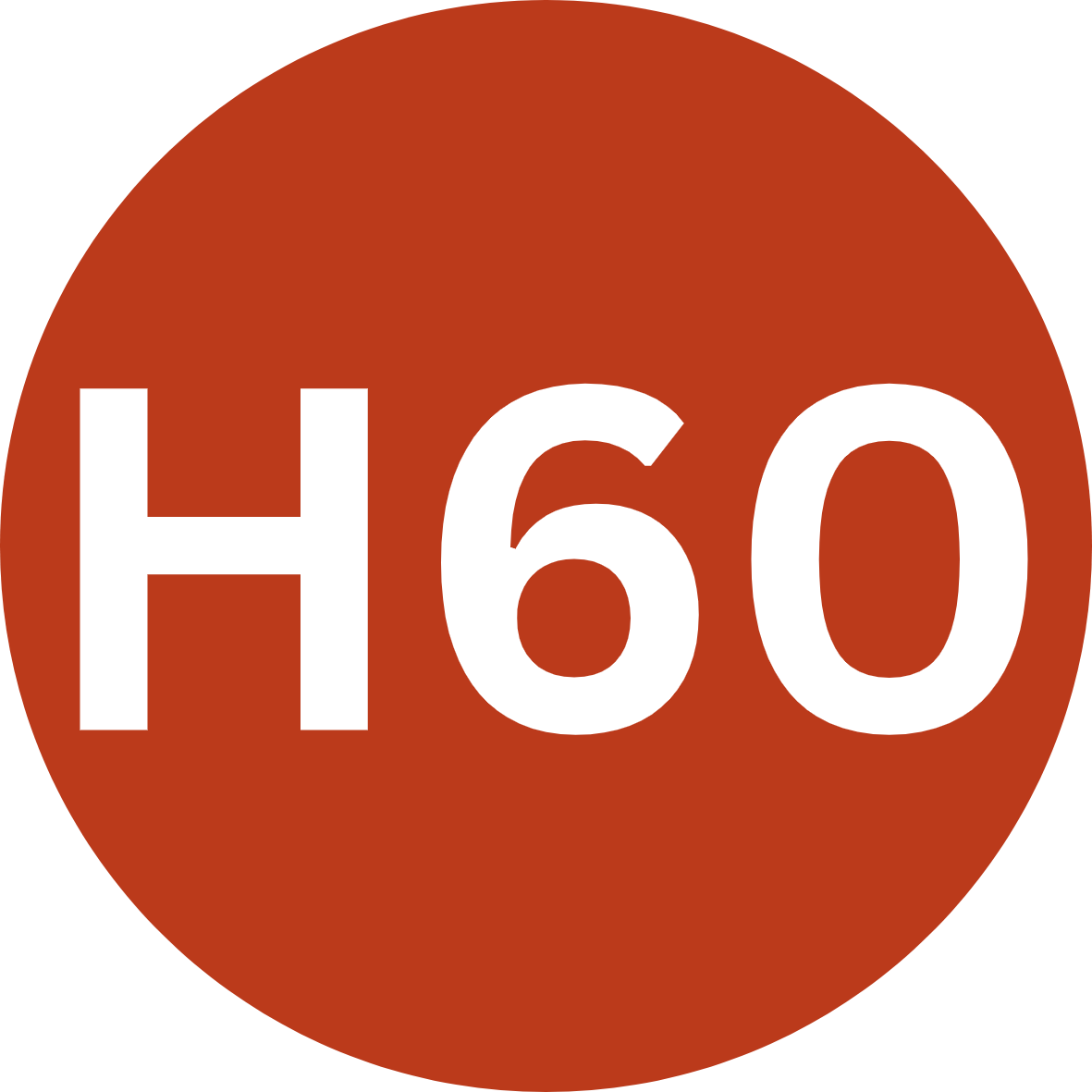 h60
