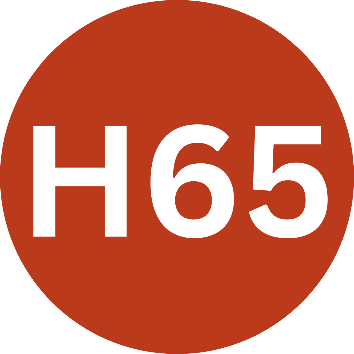 h65