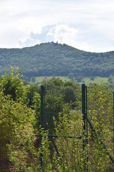 Breitenstein-Cup-Tag2-73